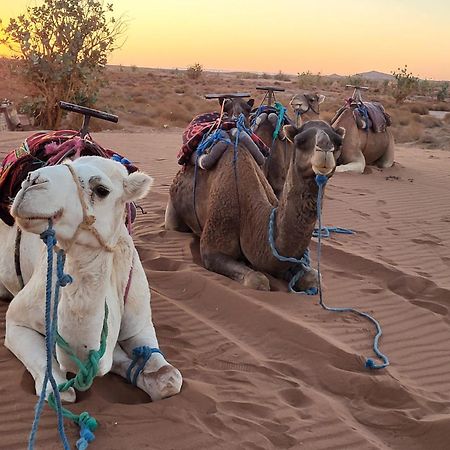 Desert Bivouac Mhamid M'Hamid Eksteriør billede