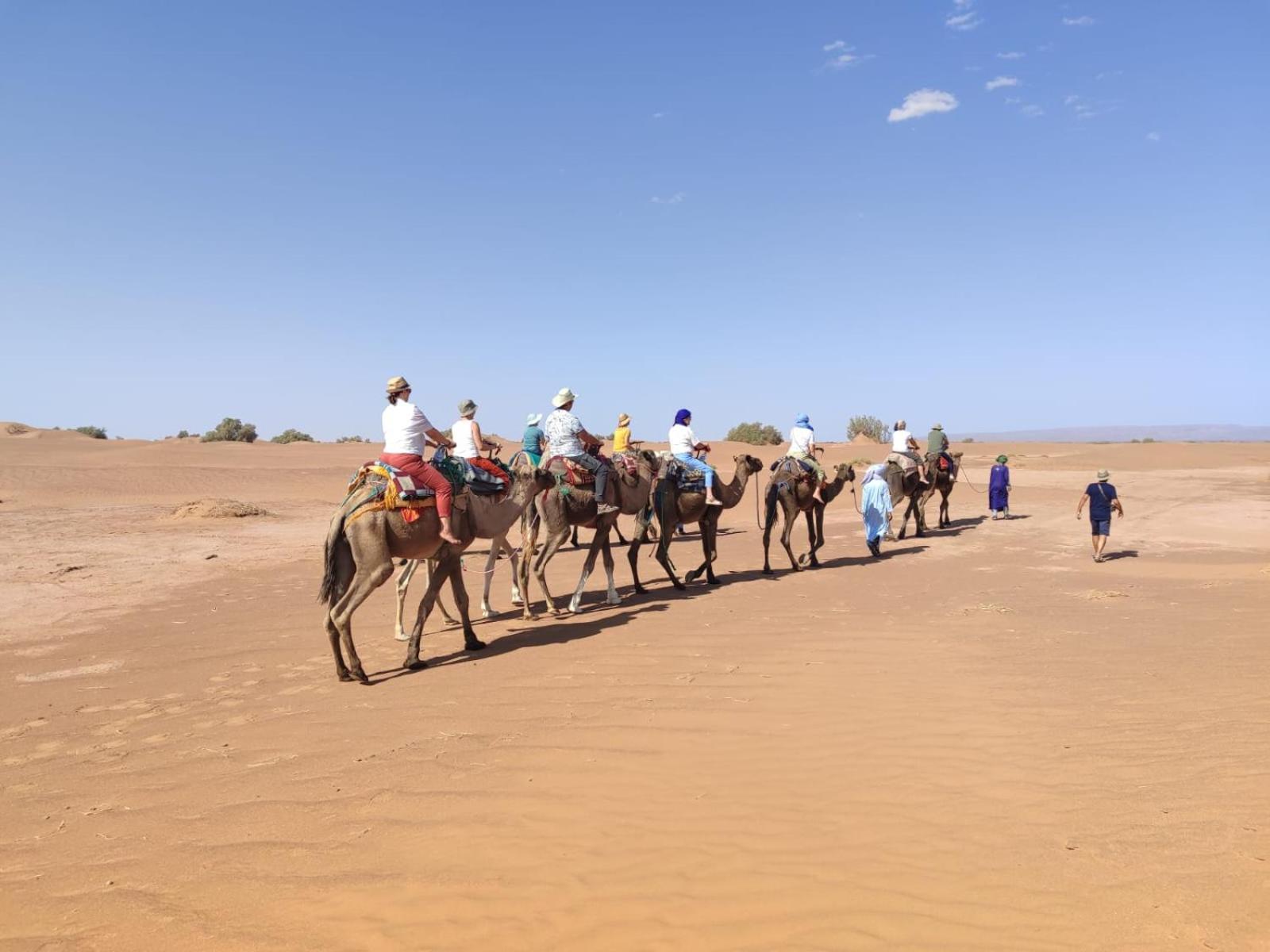 Desert Bivouac Mhamid M'Hamid Eksteriør billede