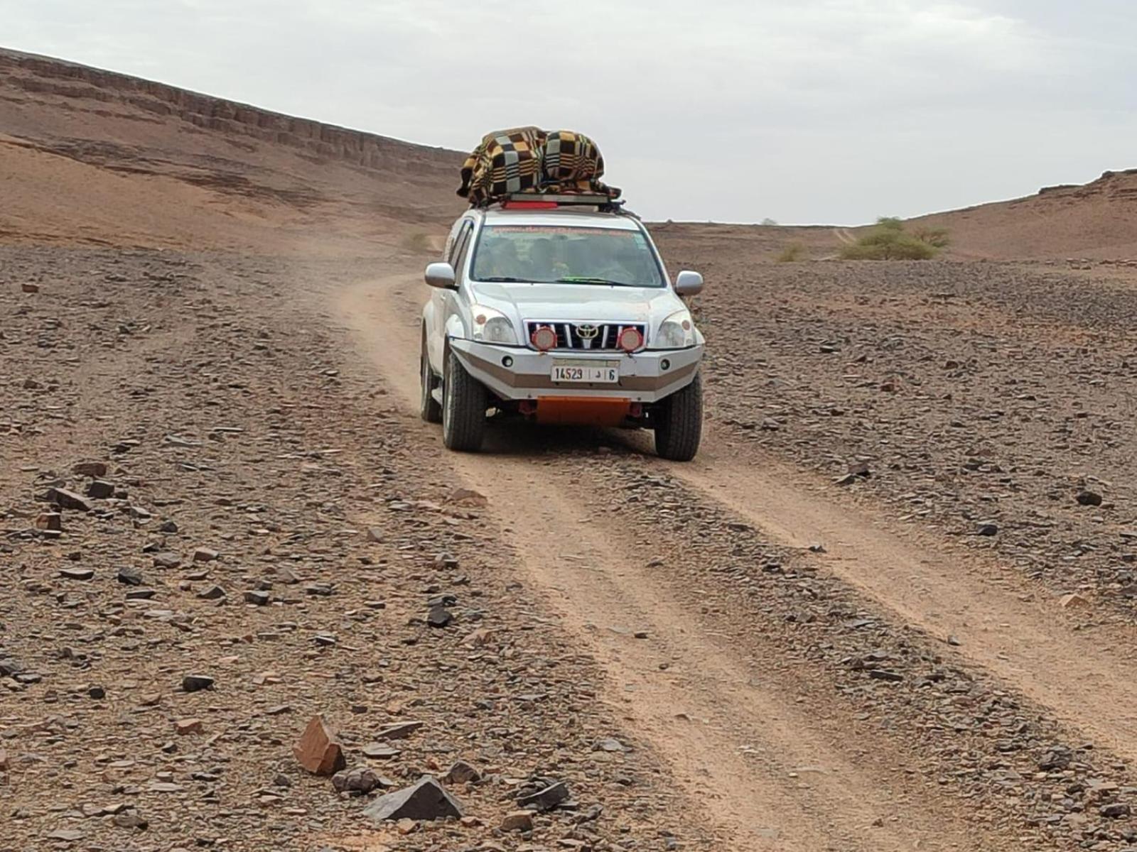 Desert Bivouac Mhamid M'Hamid Eksteriør billede