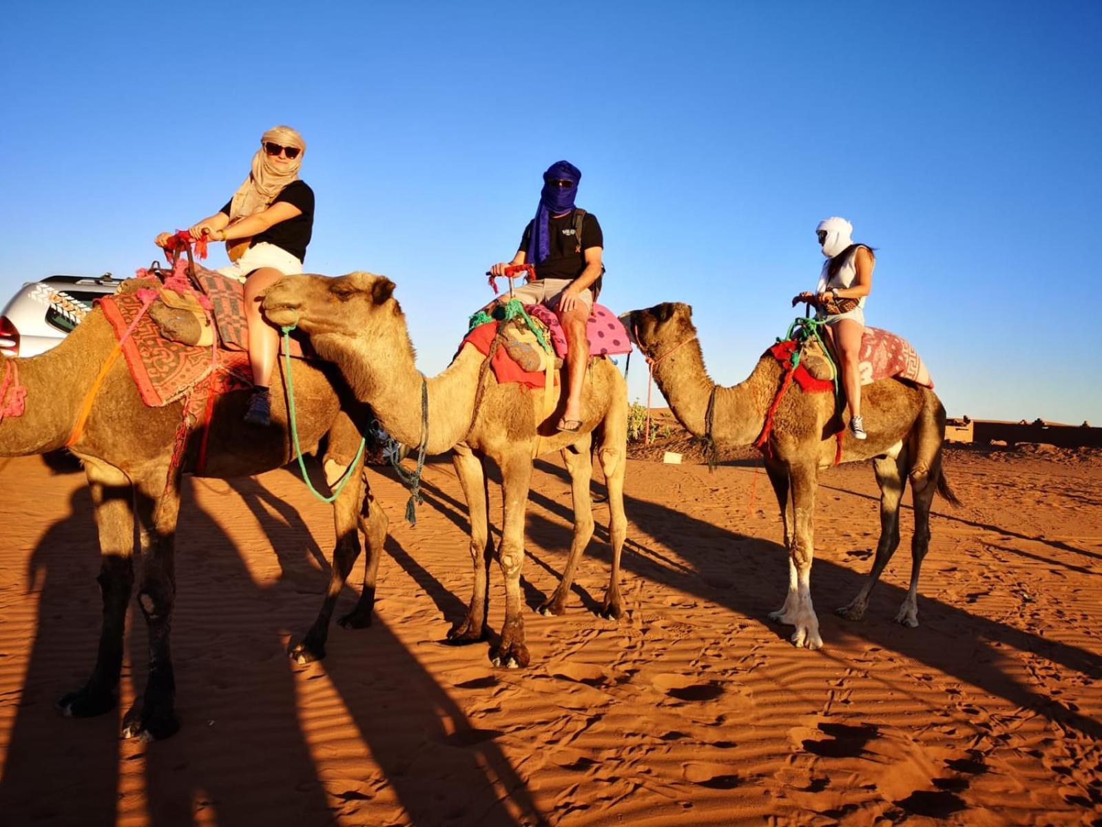 Desert Bivouac Mhamid M'Hamid Eksteriør billede