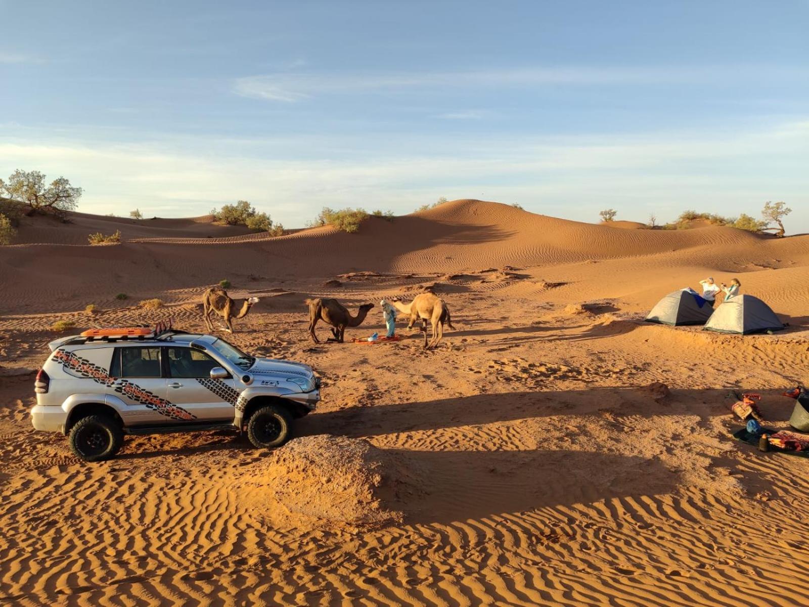 Desert Bivouac Mhamid M'Hamid Eksteriør billede