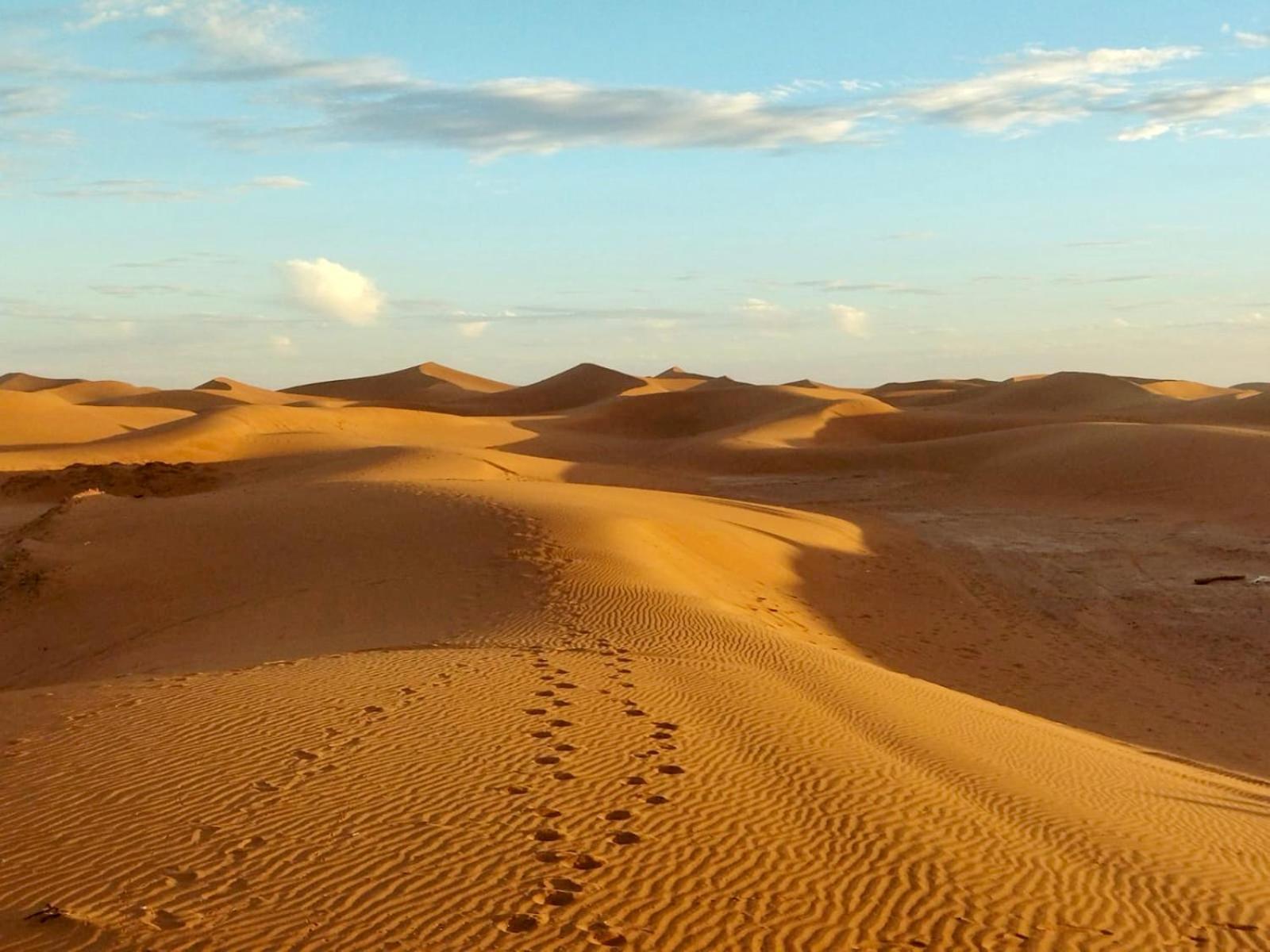 Desert Bivouac Mhamid M'Hamid Eksteriør billede